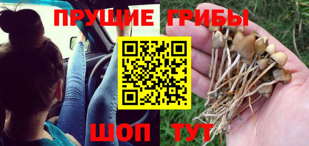 сколько стоит  Галлюциногенные грибы мицелий  Уварово  Вход с VPN  Псилоцибиновые грибы прущие грибы 