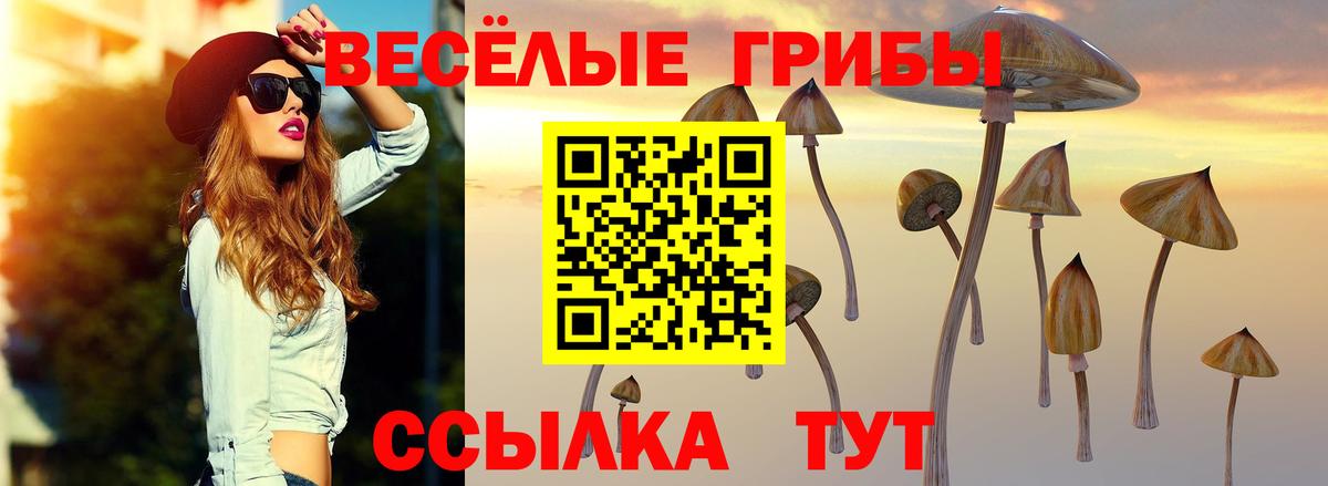 Галлюциногенные грибы Psilocybine cubensis Уварово
